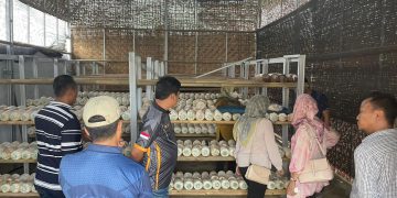 Yuk Intip Apa Saja Pembinaan Kemandirian Warga Binaan Pemasyarakatan Lapas Gunung Sugih