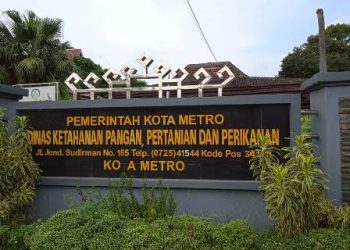 DPC KWRI Metro Soroti Penggunaan Anggaran Belanja di Dinas Ketahanan Pangan, Pertanian, dan Perikanan Kota Metro