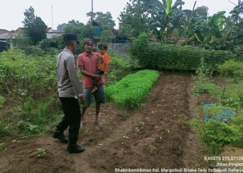 Lewat Bhabinkamtibmas, Polres Metro Dukung Ketahanan Pangan