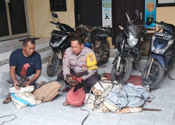 Grebek Arena Judi Sabung Ayam, Polsek Trimurjo Amankan 4 Sepeda Motor