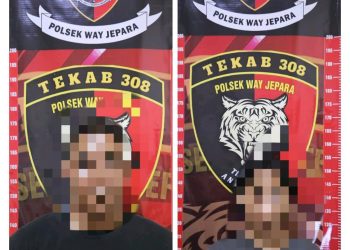 Terlibat Dalam Kasus Pencurian, 2 Warga Kecamatan Sekampung Udik Diamankan Polisi