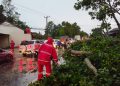 POLRES METRO LAKSANAKAN PATROLI SIAGA BENCANA, EVAKUASI POHON TUMBANG DI TIGA TITIK
