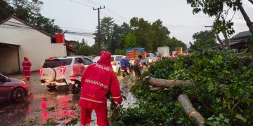 POLRES METRO LAKSANAKAN PATROLI SIAGA BENCANA, EVAKUASI POHON TUMBANG DI TIGA TITIK