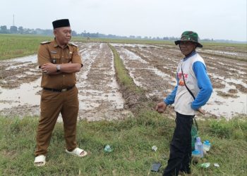 Lurah Adipuro Manfaatkan Sumberdaya Alam Untuk Kepentingan Masyarakat