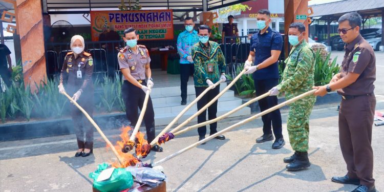 Komitmen Berantas Kejahatan, Polres dan Kejari Lampung Tengah Musnahkan Barang Bukti Narkoba hingga Sajam